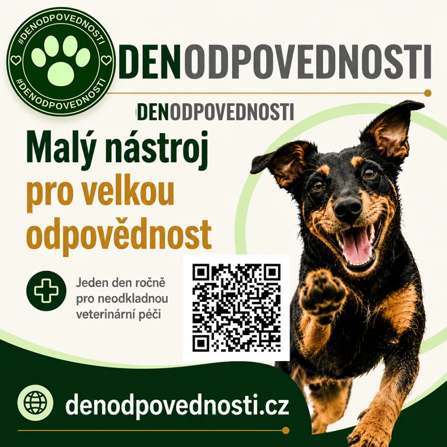 #DENODPOVEDNOSTI