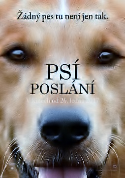 Psí_poslání_22.jpg